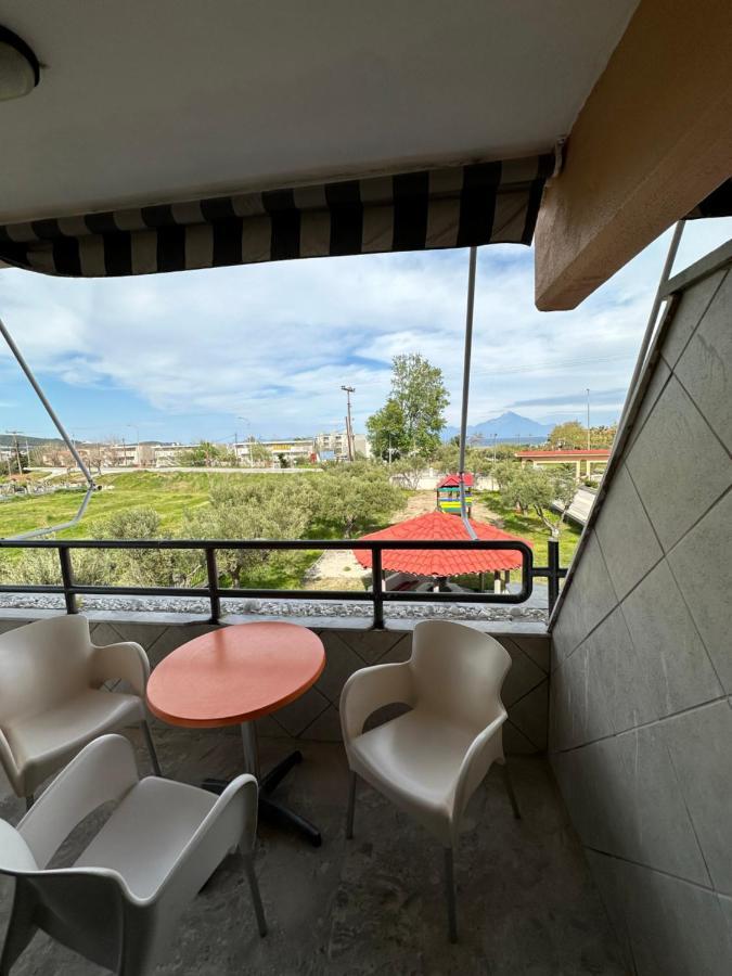 Hotel Palmera 萨尔蒂 外观 照片